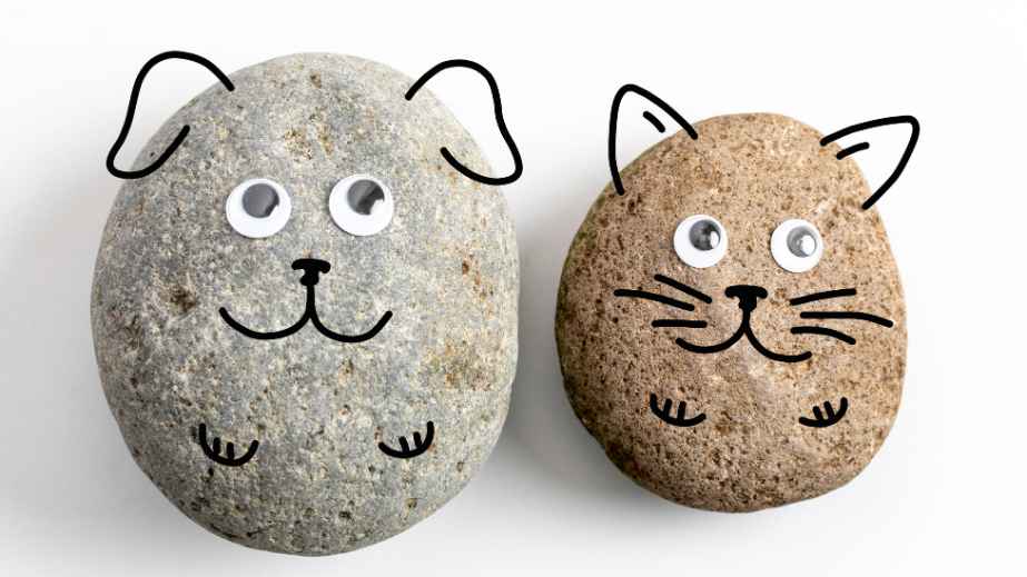 Pet rock