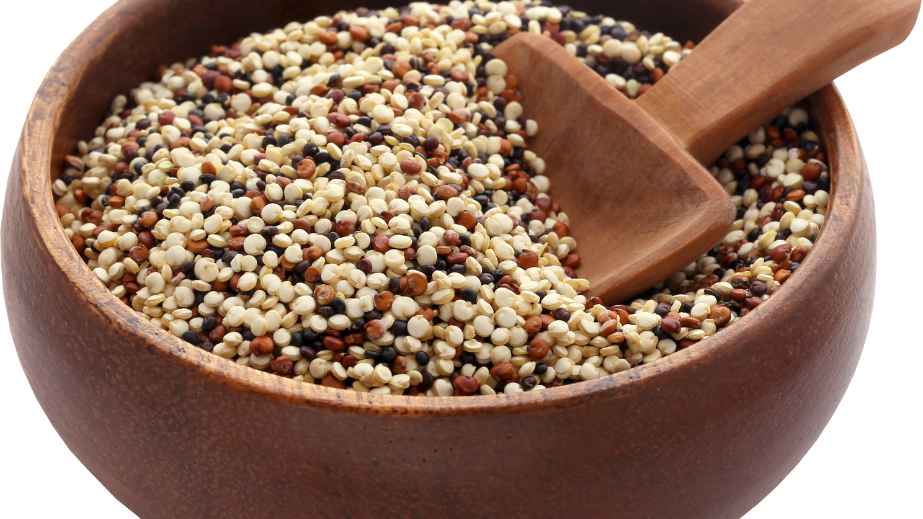 20 Human Foods Dogs Can Eat