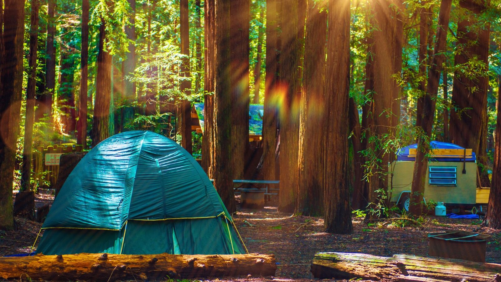 Redwood National and State Parks