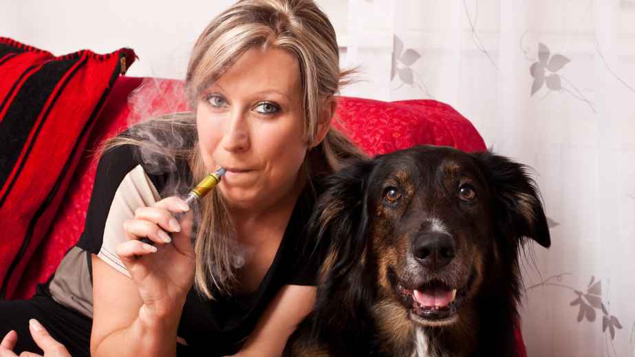 23 Household Items That Can Kill a Dog Instantly