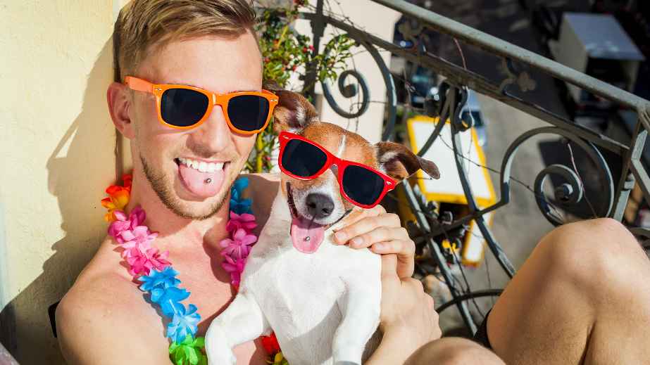 The 12 Best Vacation Spots for Dog Lovers