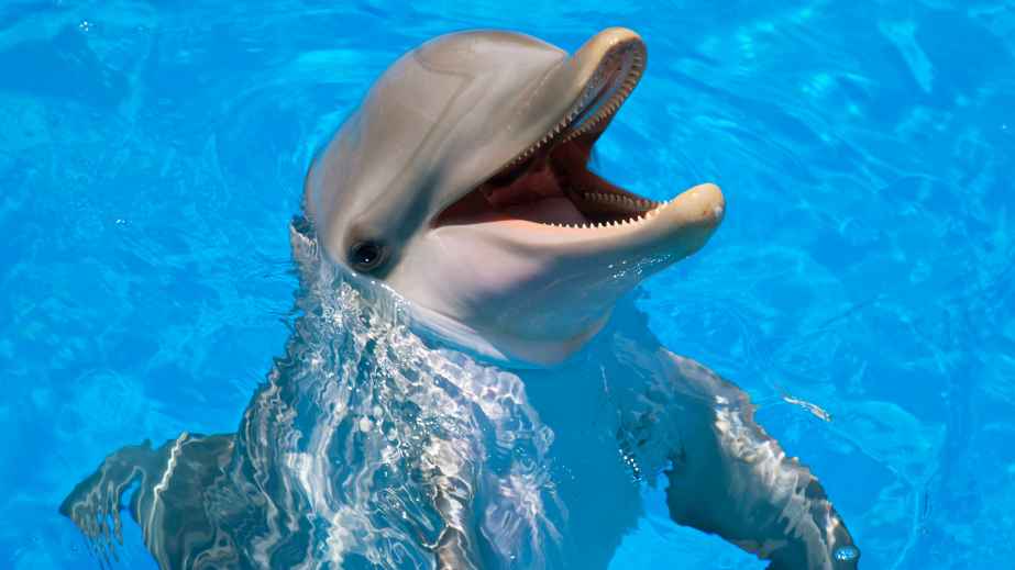 12 Animal Facts That Sound Fake, But Are 100% Legit