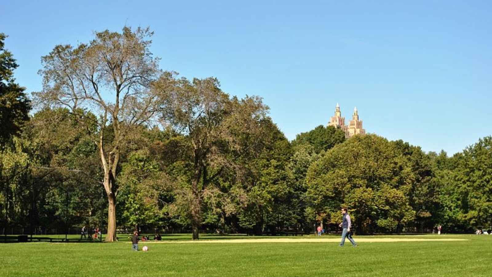 15 Free or Cheap Things to Do in New York City