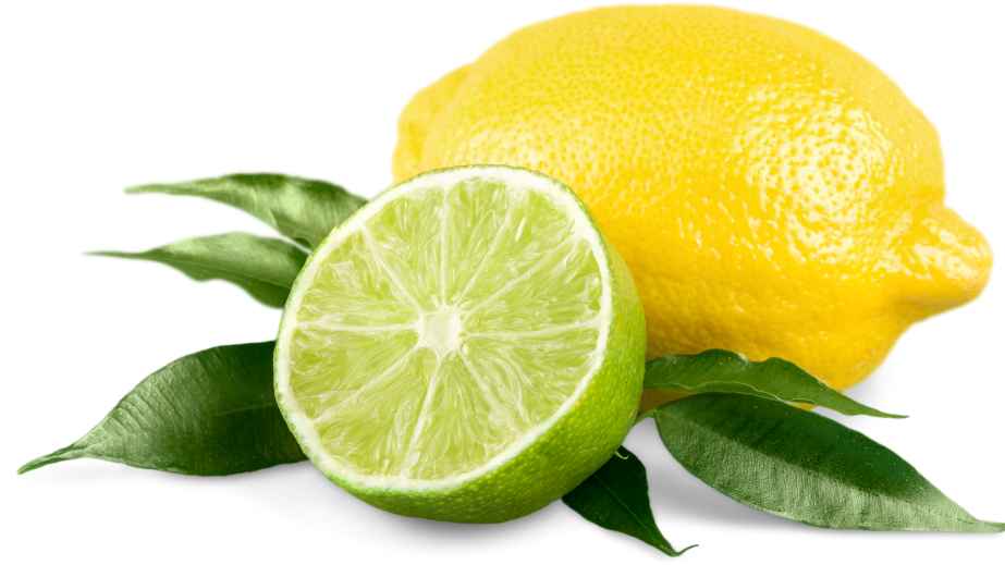 20 Essential Items To Store in the Refrigerator at All Times