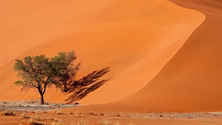 15 Places on Earth That Are Too Good to Be Real