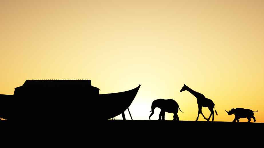 15 So-Called ‘Biblical Facts’ Not Supported By The Bible