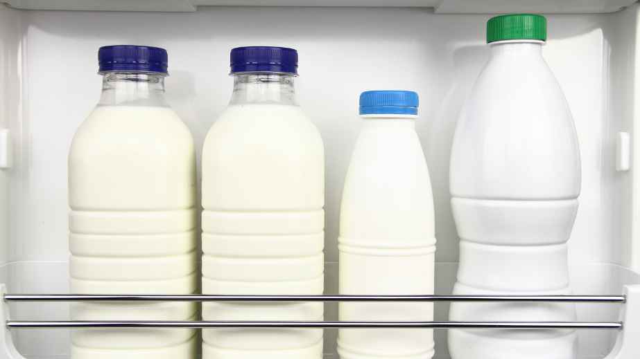 20 Essential Items To Store in the Refrigerator at All Times