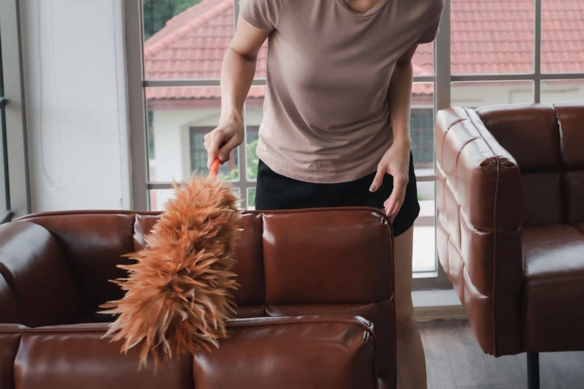 Feathering Dusted Furniture