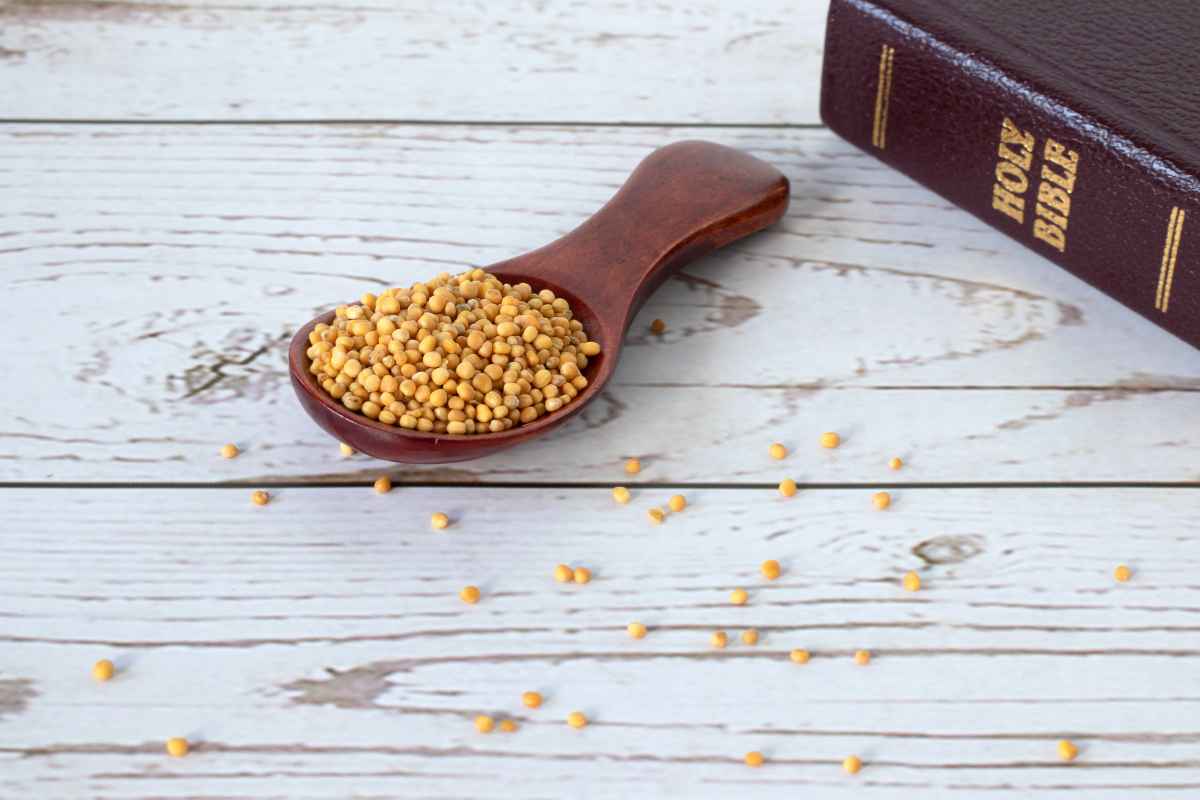 13 Things Even Atheists Could Take Away From Reading The Bible