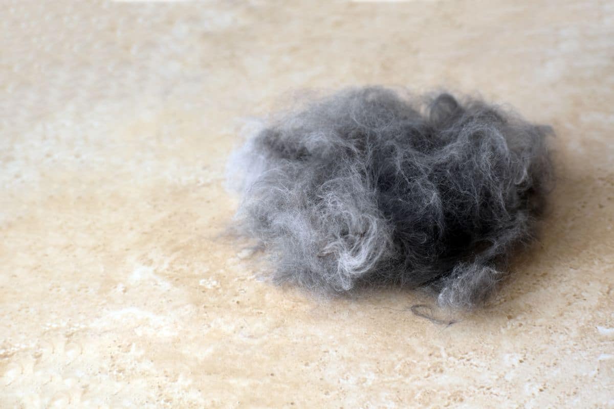 12 Items in Your Home That Shouldn't Meet Your Vacuum Cleaner