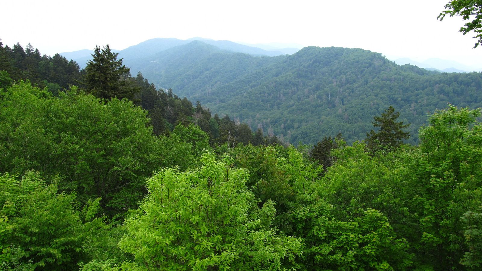 15 Truly Fascinating Places You Won't Believe Are in the United States