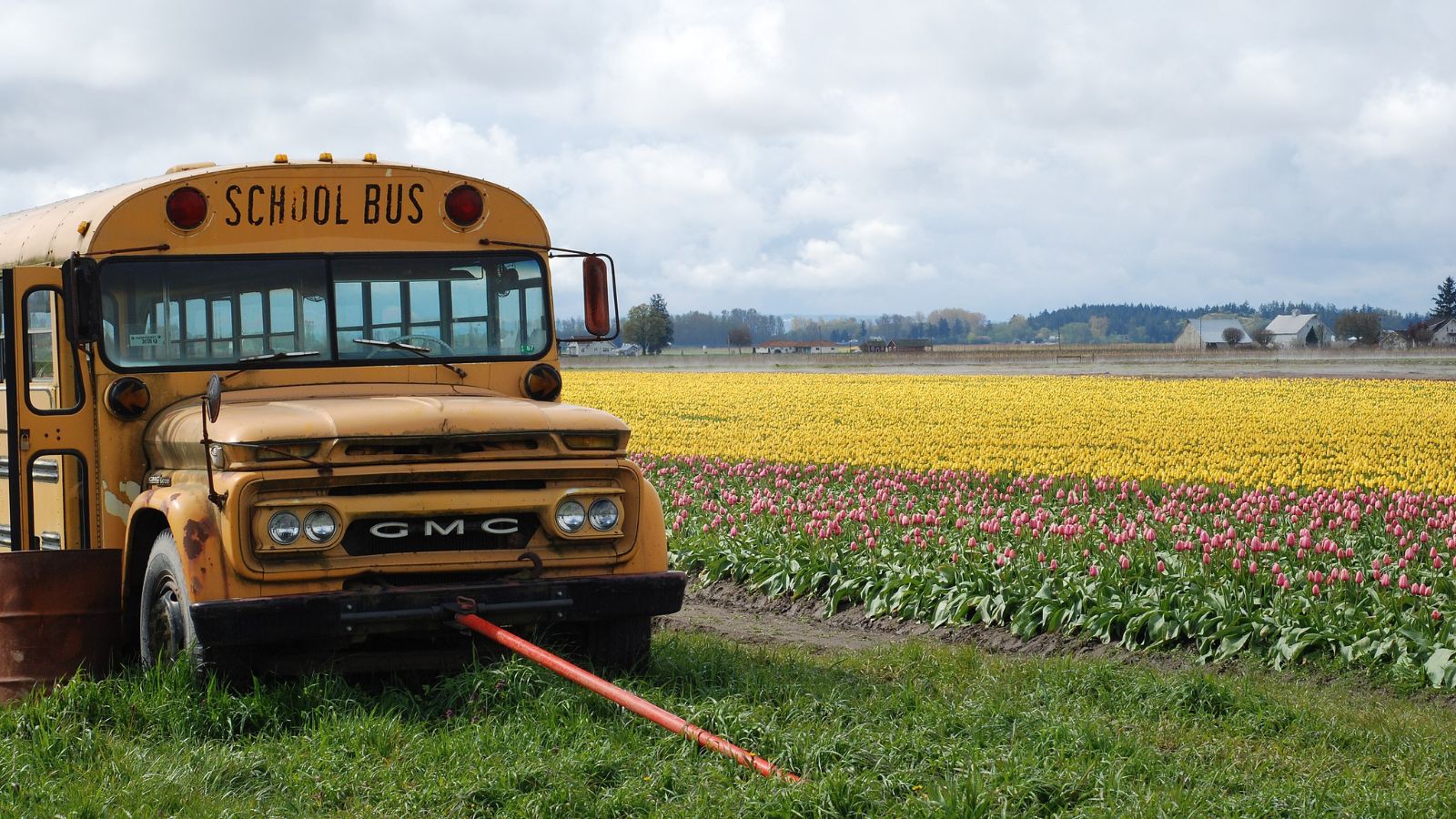15 Truly Fascinating Places You Won't Believe Are in the United States