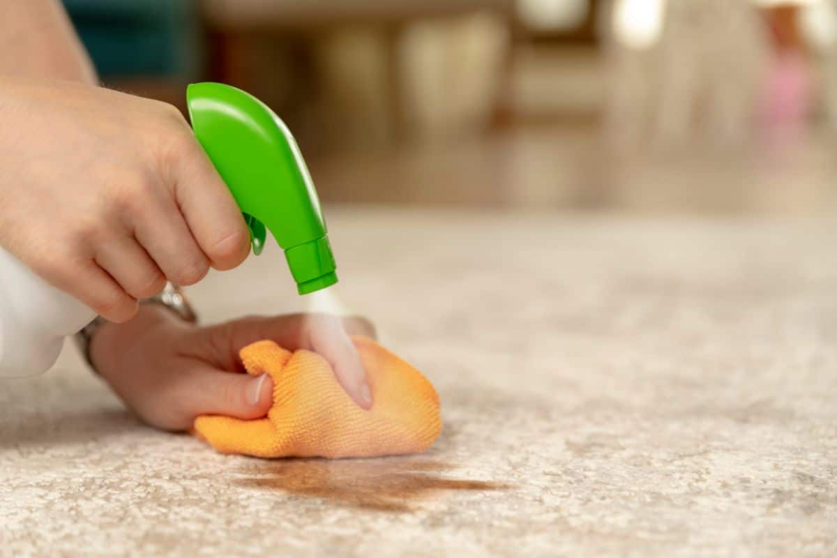 Scrubbing Carpet Stains