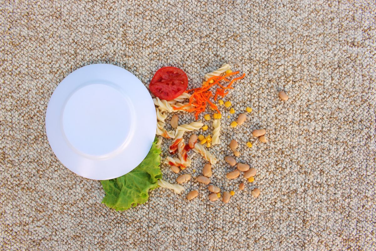 12 Items in Your Home That Shouldn't Meet Your Vacuum Cleaner