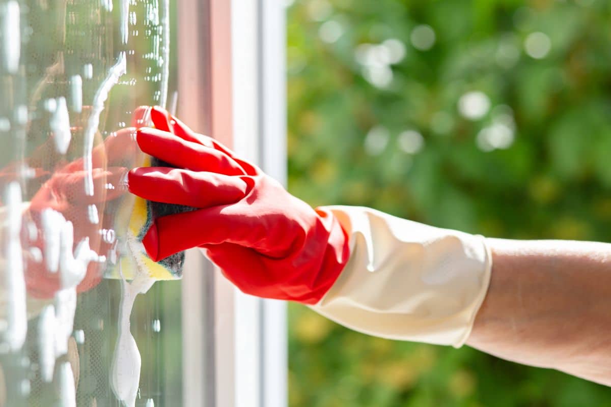 Washing Windows on a Sunny Day