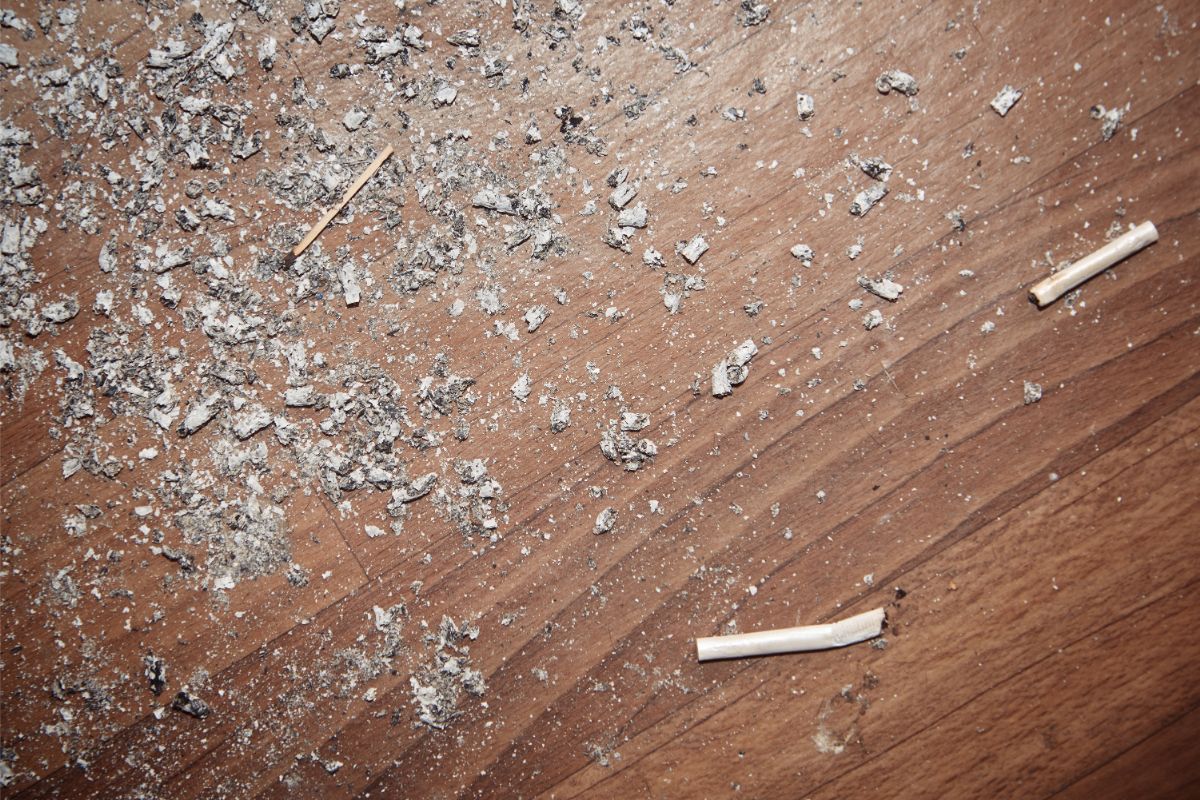 12 Items in Your Home That Shouldn't Meet Your Vacuum Cleaner