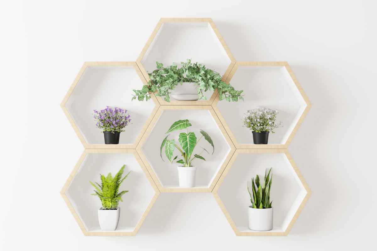 The Bright Hexagon Shelf is a unique and practical home product with an interlocking hexagonal design that provides ample space for various items. It creates a stylish and modern look with its geometric shape and vibrant color, and gives the impression of abundant storage despite its compact size. It's a statement piece that combines style with function and is perfect for anyone looking to add a touch of elegance to their home.