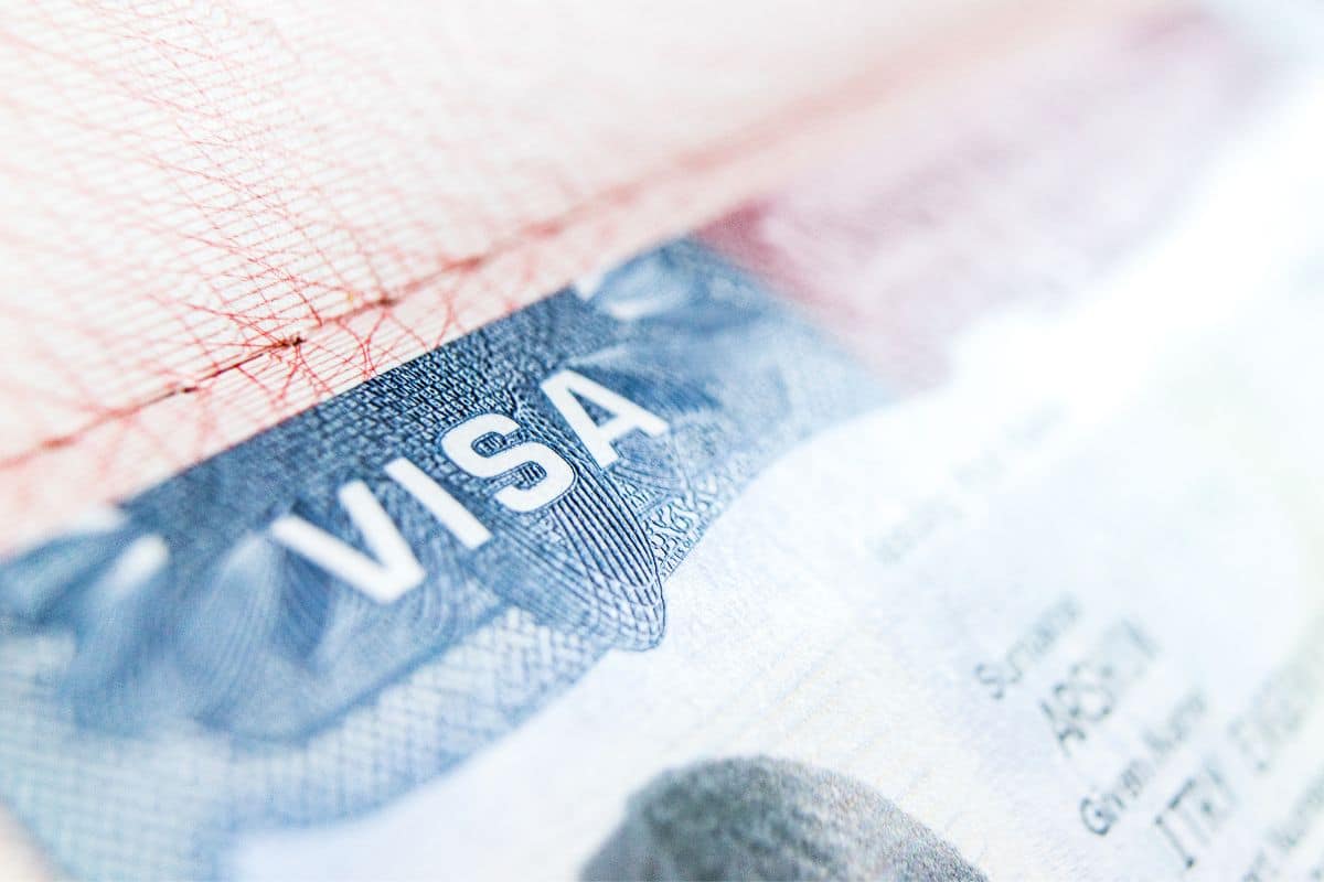 What is a Travel Document Number: A Comprehensive Guide for Globetrotters