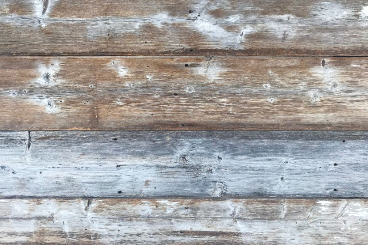 Shiplap Walls