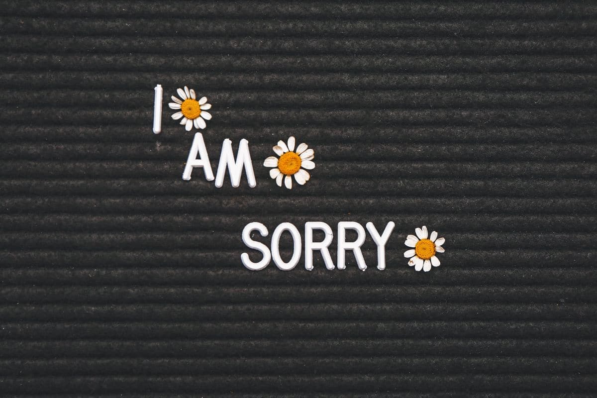 12 Ways To Apologize Like You Mean It