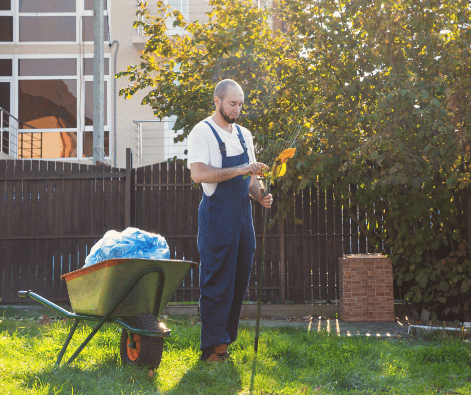 Clean up The Yard