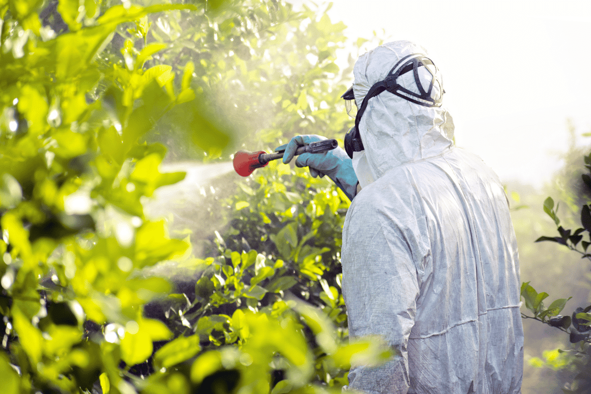 Pesticides