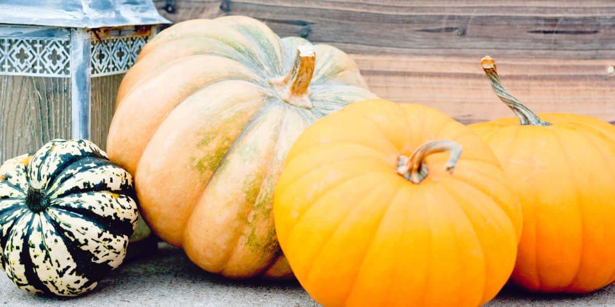 Pumpkins