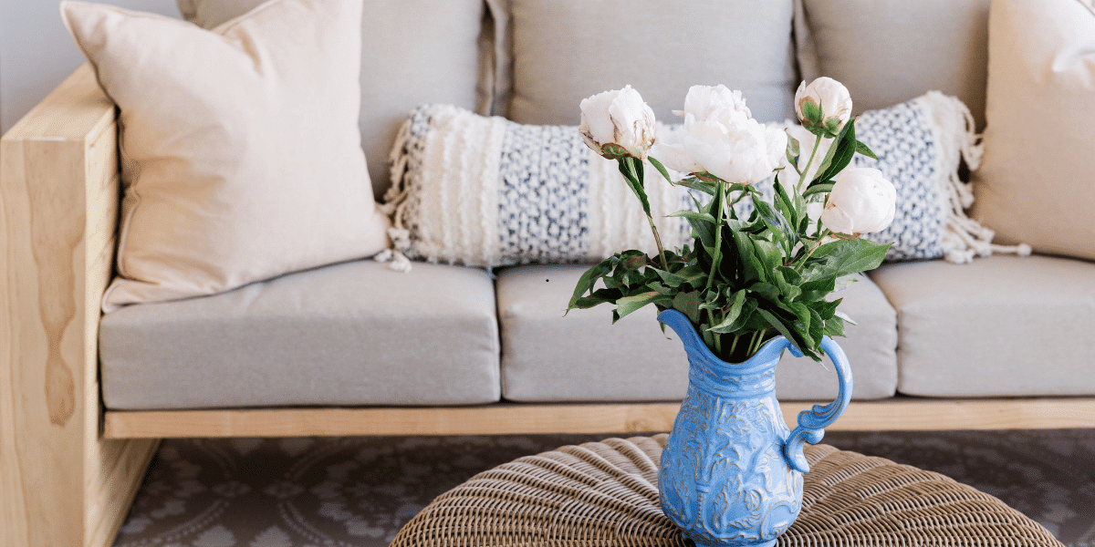Indoor plants