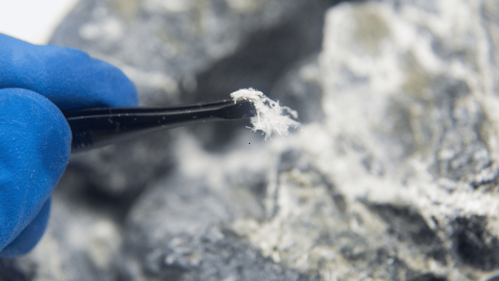 Asbestos Testing